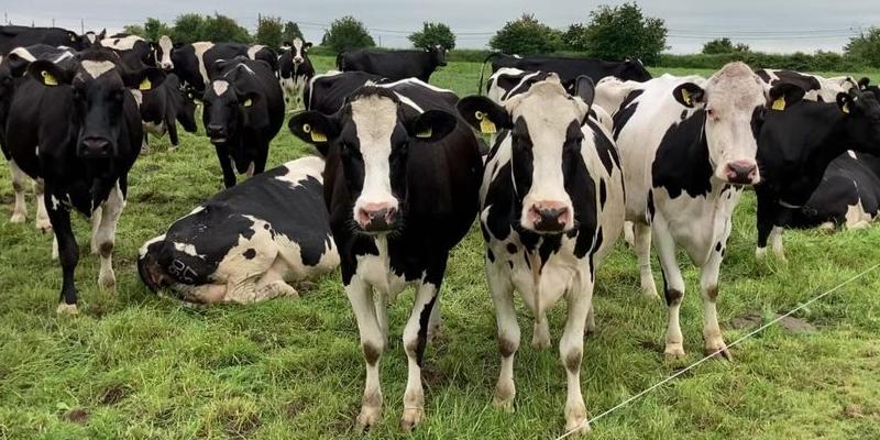 Срокове за различните видове подпомагане: